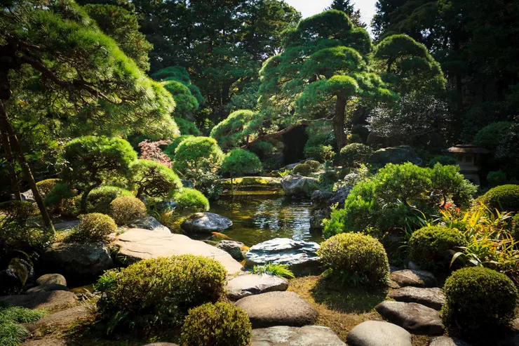 綠意盎然的書院造庭園是山本亭的視覺靈魂。