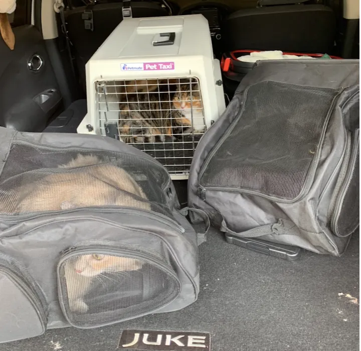 主子們表示:當時的我們真的是害怕極了。