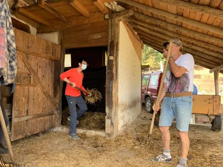 也有馬廄豬舍要打掃