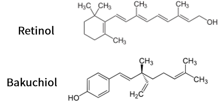 圖-來源By NEUROtiker (talk) - Own work, Public Domain, https://commons.wikimedia.org/w/index.php?curid=4351709 ＆ By Yikrazuul (talk) - Own work, Public Domain, https://commons.wikimedia.org/w/index.php?curid=16265086