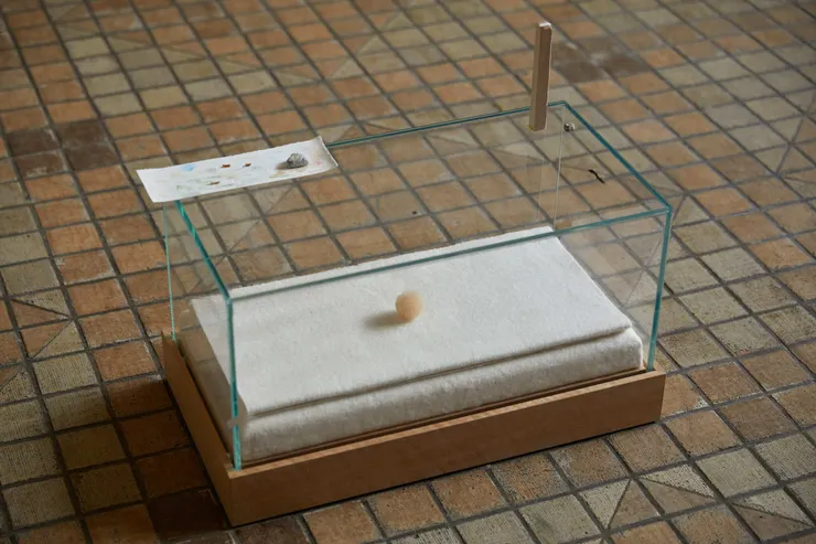 圖片來源：https://www.timeout.jp/tokyo/ja/news/naito-rei-come-and-live-go-and-live-062824