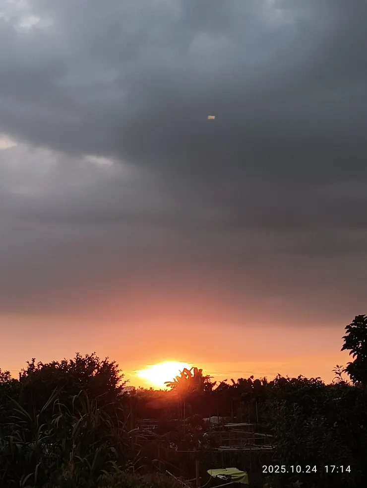 夕陽紅盡偶相逢