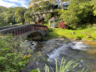 生活543～昏頭轉向的奧捷歷史