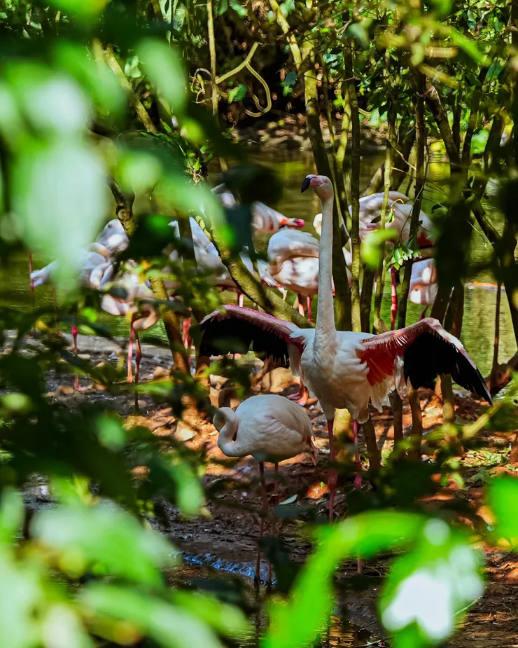 #工作心得 在職場💼不要只是認真就好🟧這6️⃣件事更重要‼️🫡請多為自己好、發掘更多自己的美好❤️ #更新版 #真心話大告白