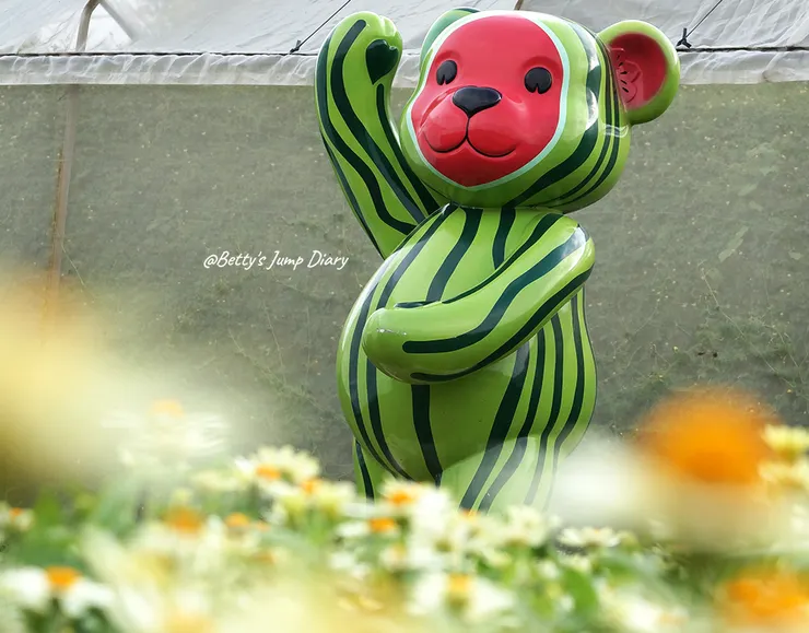 ▲2024桃園蓮花季/圖片來源:Betty's Jump Diary