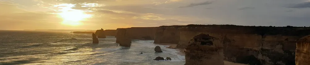 Wei 的工程師聊什麼