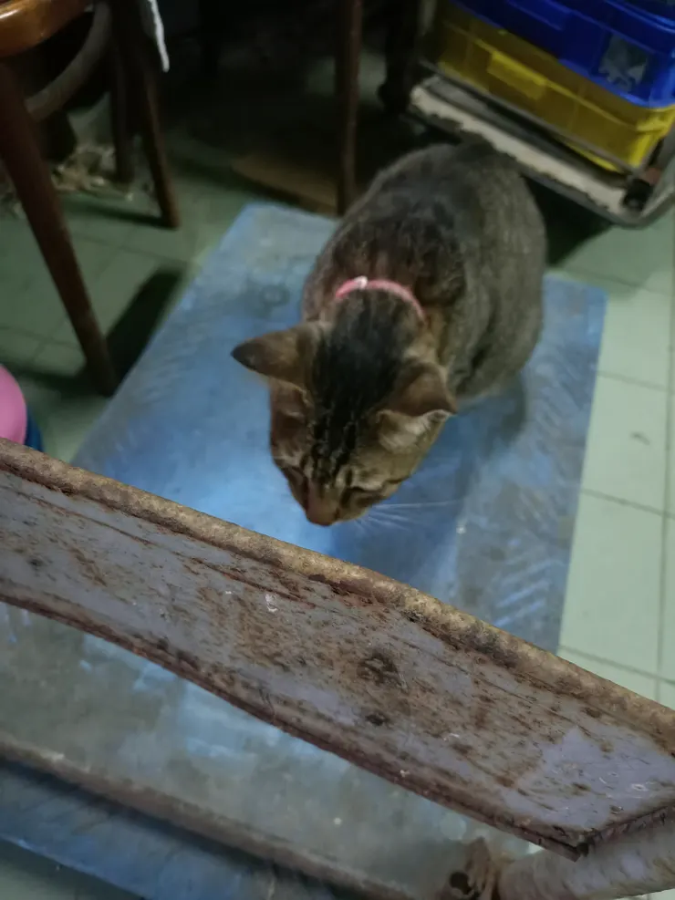 你怎麼在車上...