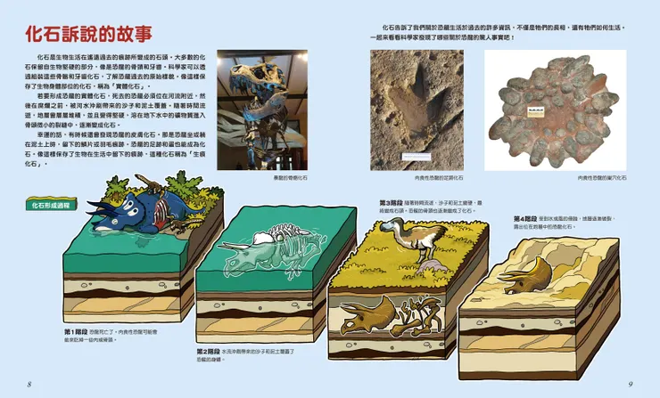 化石的形成與意義｜《噓！恐龍的祕密》｜小角落文化出版