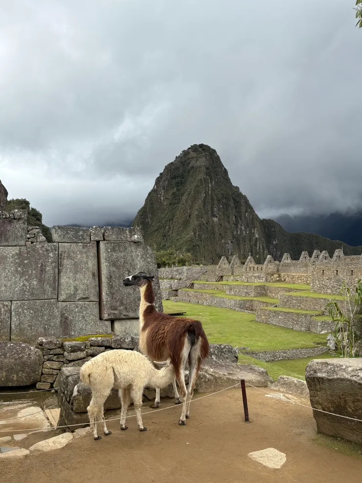 捕捉到溫馨又珍貴的畫面