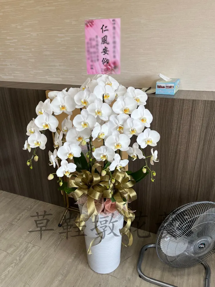 白色蝴蝶蘭-由草鞋墩花藝店提供