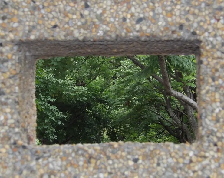 都市森林的框景