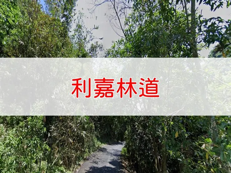 【台東】利嘉林道 | 全長里程：6公里 | 難易度：低