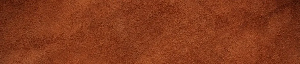 Clay 的旅行札記