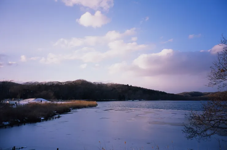 FUJI Natura Classica - FUJI Provia100F