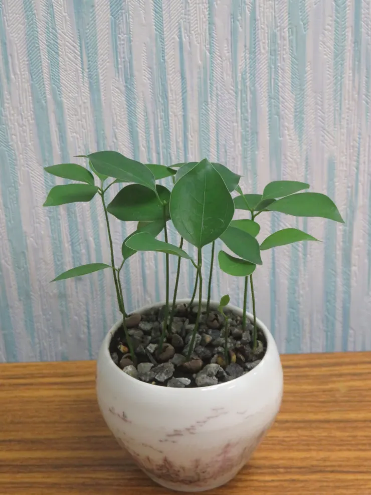 北投社大112.06.21