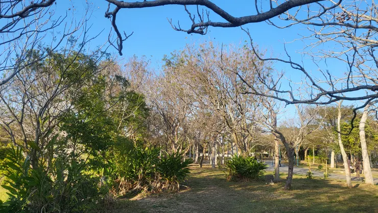 台中都會公園(李建崑攝影)