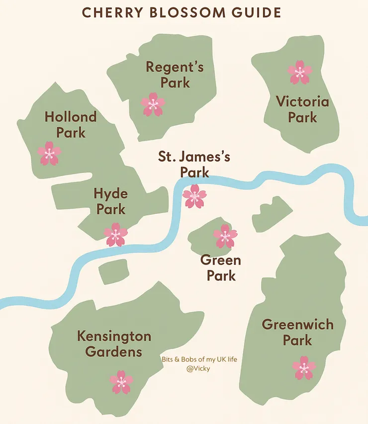 Cherry blossoms in parks all across London