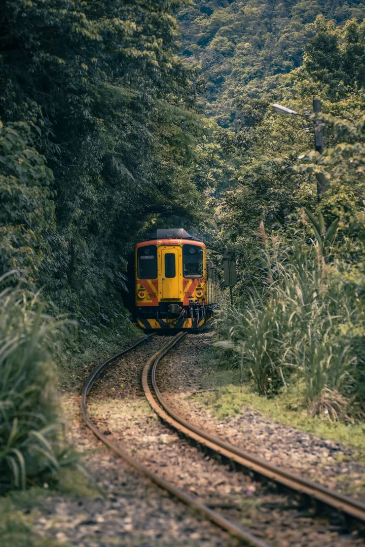 大華車站綠色隧道。