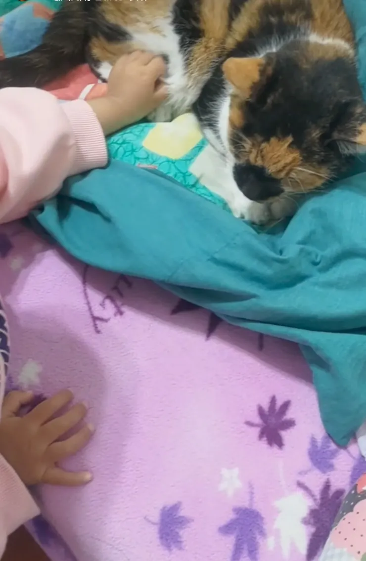 朱鼻貼女王第二次被人類小孩摸