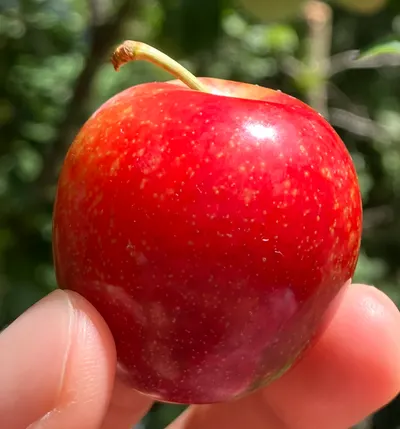 練習感受、書寫與反思的小天地