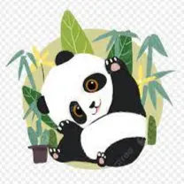 夜路走多遇到熊貓的沙龍