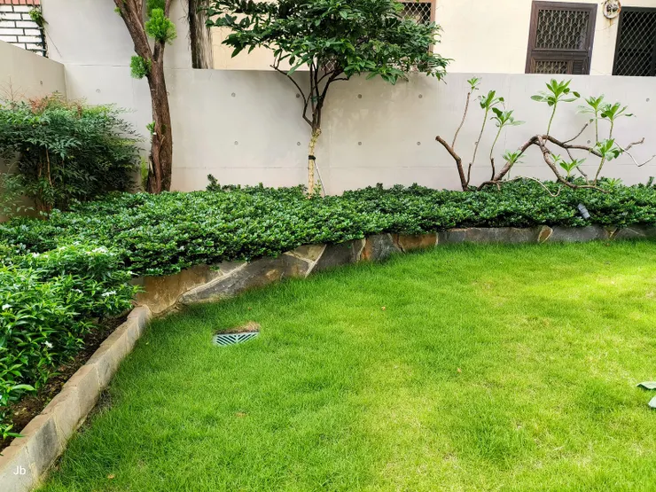 【開門喜見雨多欣欣向榮的庭園】