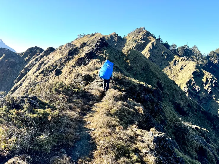 跟著領隊的腳步走。
