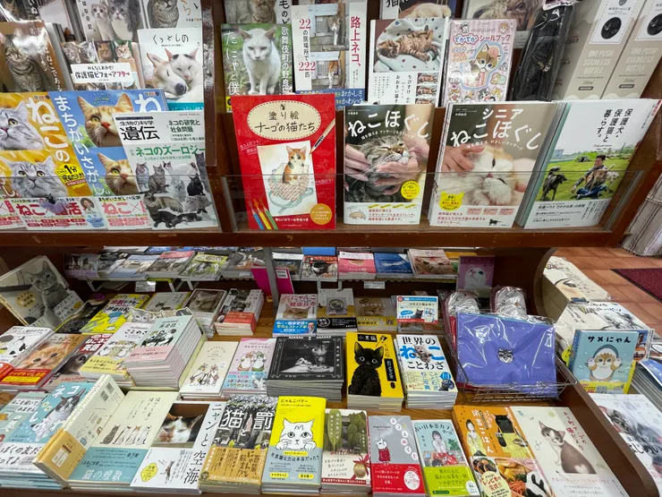 神保町貓咪堂,書架一隅