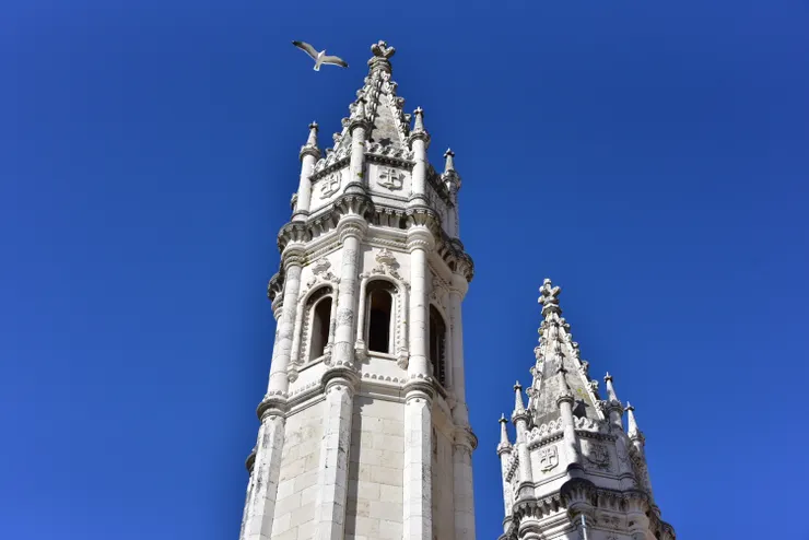 拍攝尖塔時,一隻海鷗飛過天際。