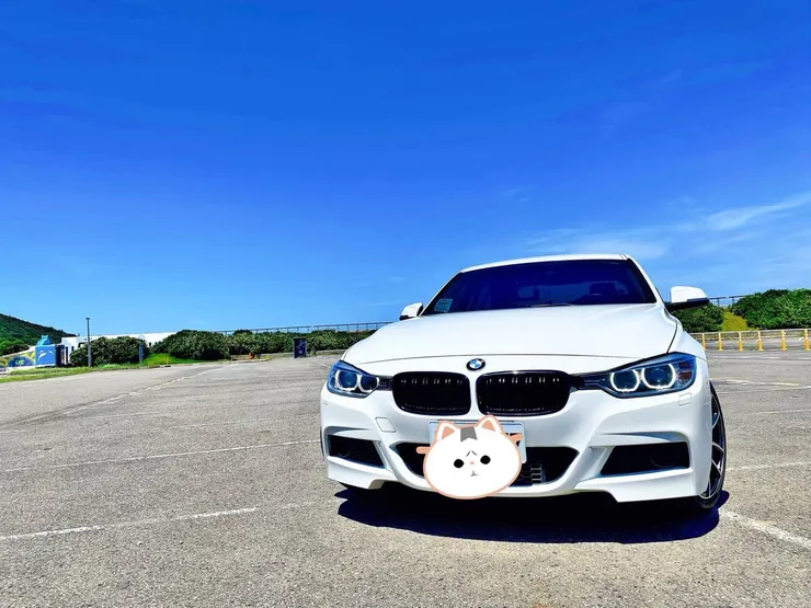 舊車BMW F30