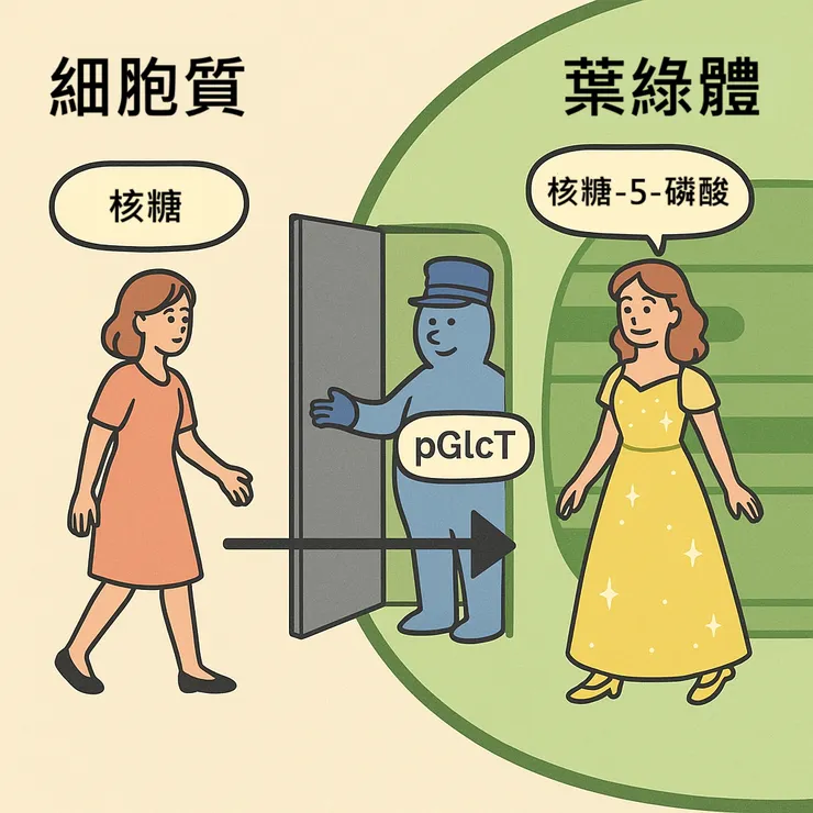 圖片作者：ChatGPT