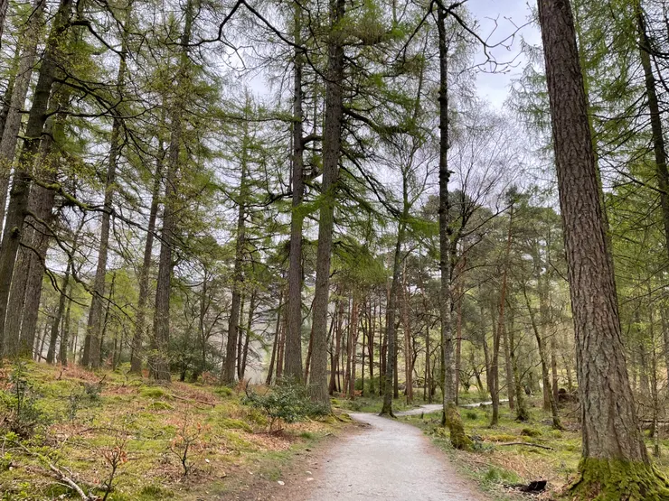 鄰近船舶下船環湖走走