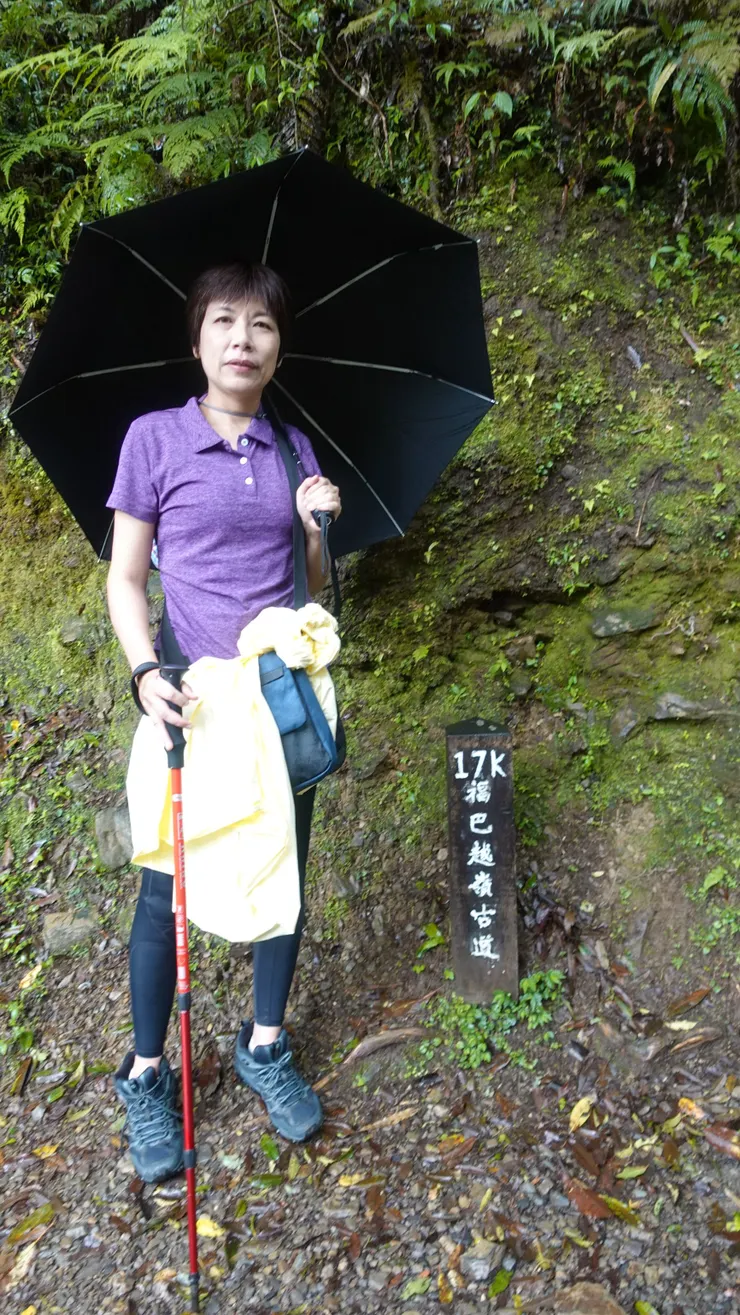 19號巨木附近是福巴越嶺古道的終點~從烏來福山到巴陵拉拉山