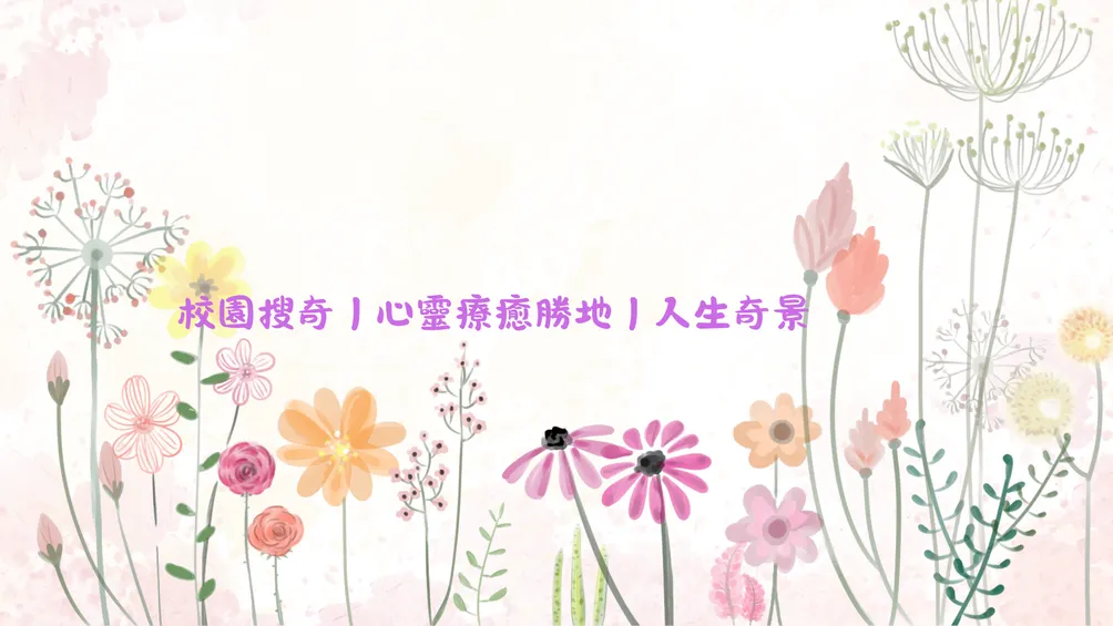 Sophie 的竟日光影