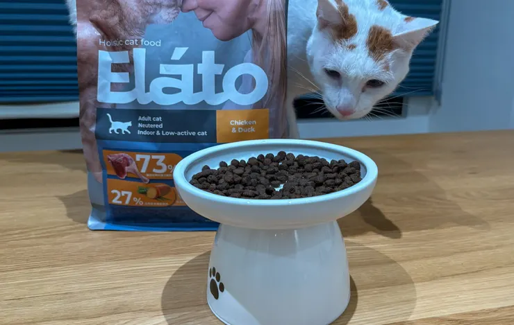 成功征服挑嘴貓的胃。