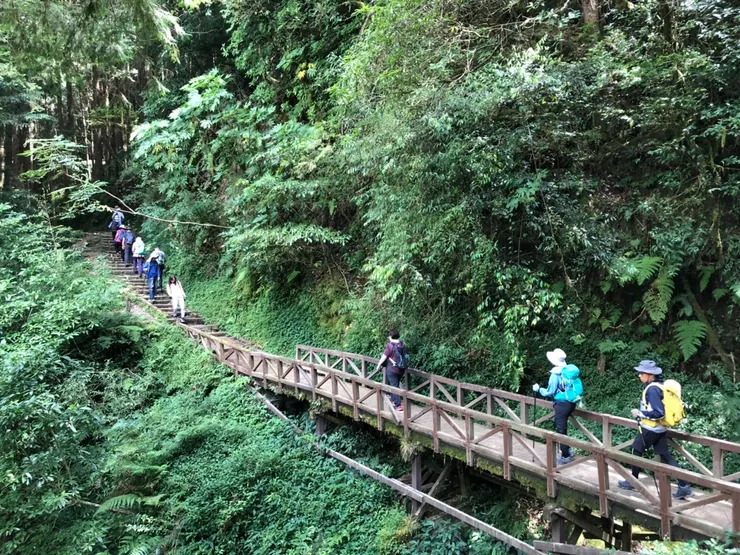 努力往前走的橋