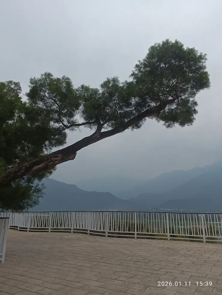 冷寒風冽凝望久