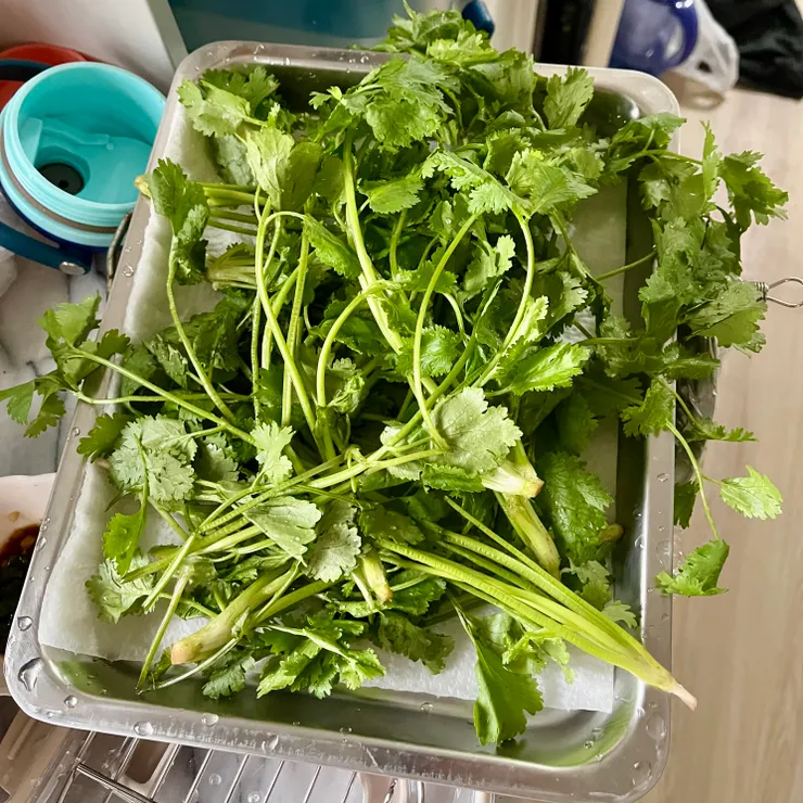 洗淨瀝乾的香菜們