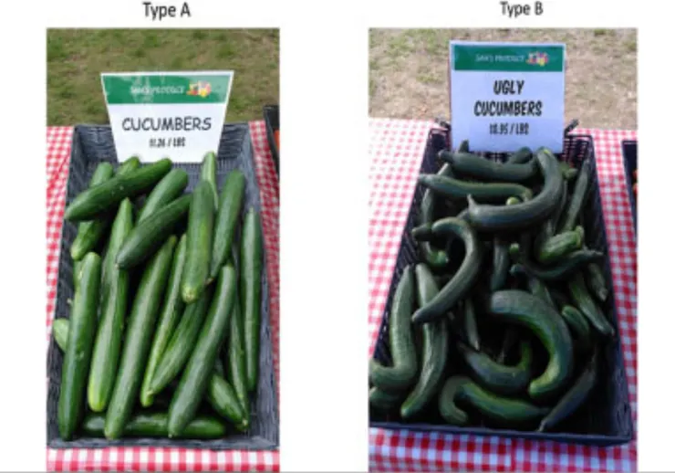 圖片來源：Mookerjee, S., Cornil, Y., & Hoegg, J. (2021)