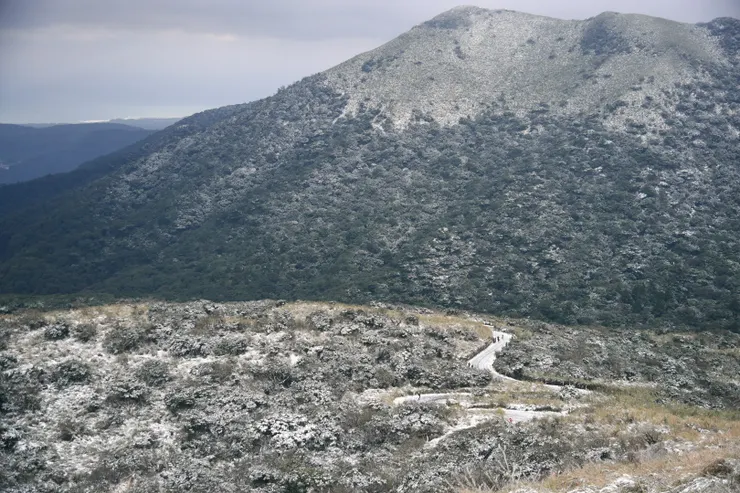 2021年陽明山下起了雪，實屬罕見。（筆者攝影）