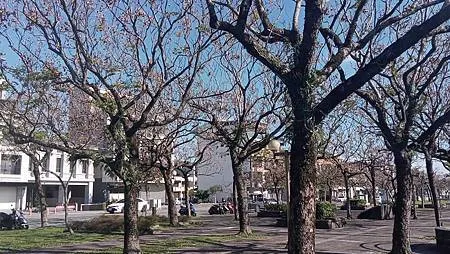 [宜蘭旅遊]宜蘭運動公園，運動設施機能完善、大面積、風景特佳