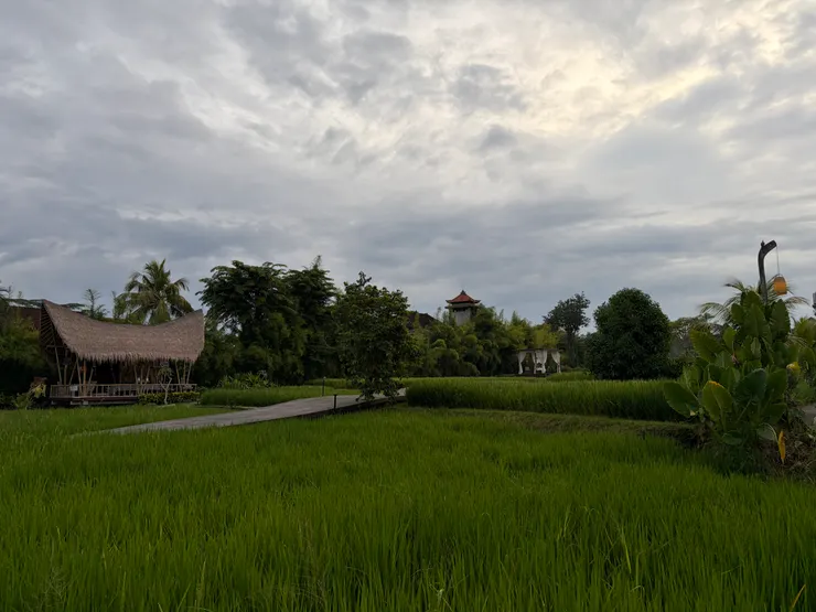 裡面的氛圍非常平和，沒看到太多人，但到處都是蟲鳴、鳥鳴聲
