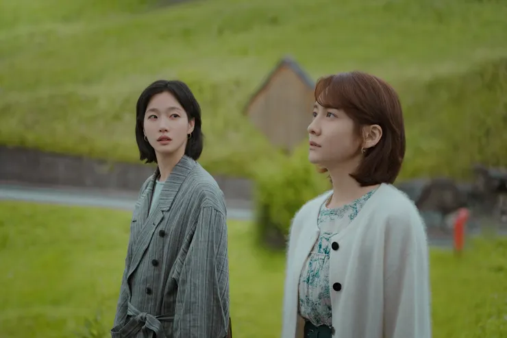 Netflix 妳和其餘的一切