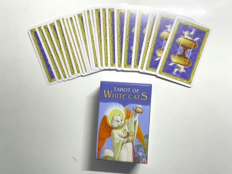 白貓塔羅 Taror of white cats