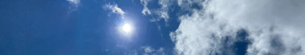 番茄炒蛋的沙龍