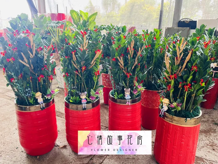 心情故事花房 | 精緻盆栽，優雅送禮新選擇 🌿台南花店推薦  台南盆栽
