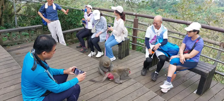 大庭廣眾下，不怕生繼續理毛