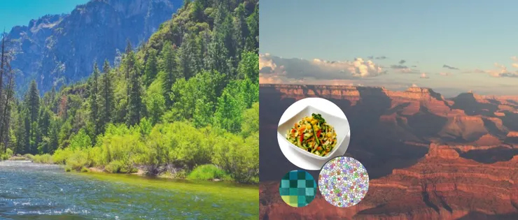 Images by McRonny, manfredbast, ivoxis, Schueler-Design, stux from Pixabay