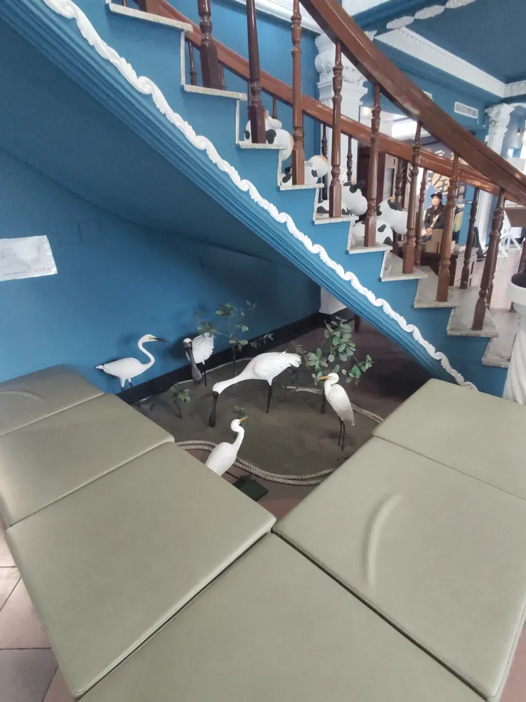 藏金閣2館-內部3