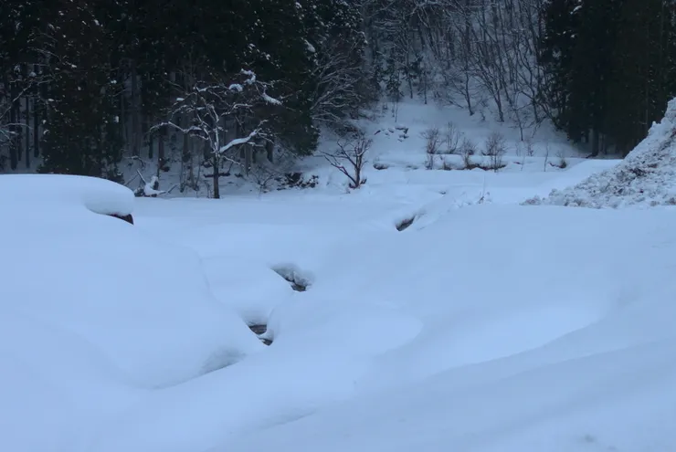 厚厚的積雪，好可愛